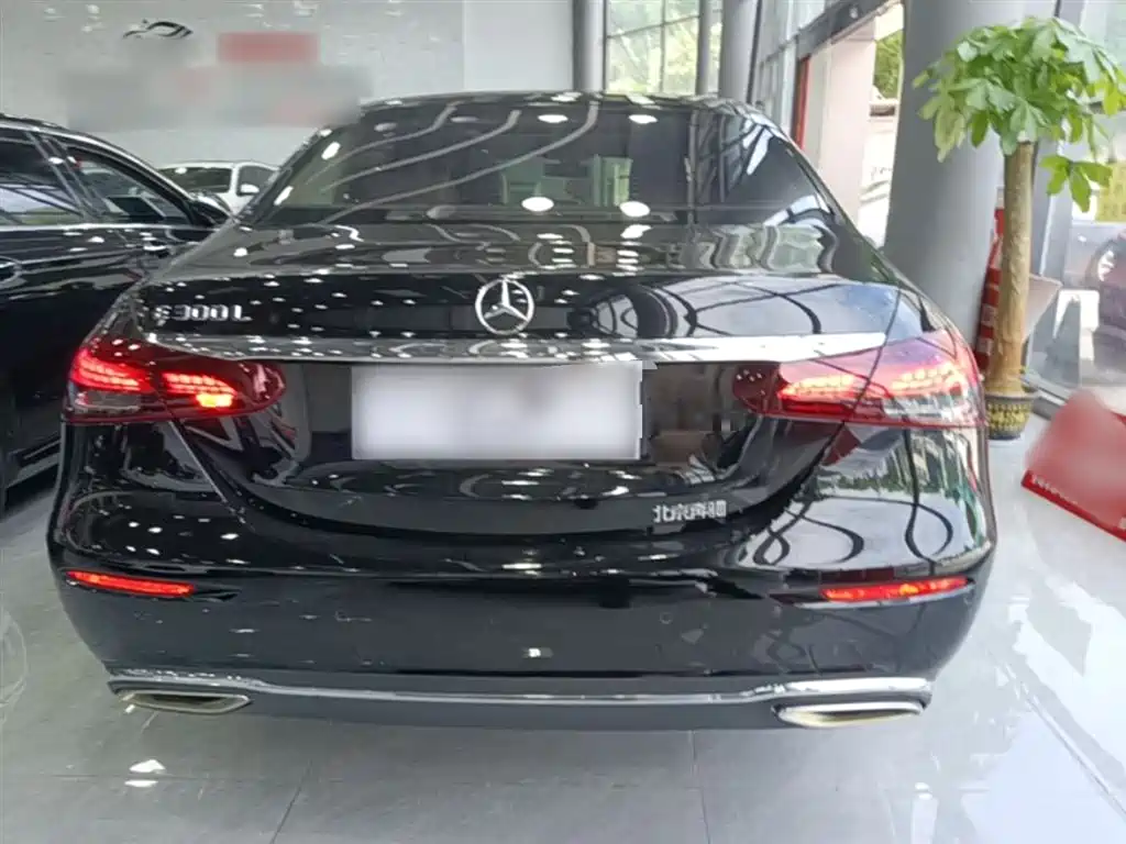 Mercedes-Benz E-Class 2023 E 300 L Luxury фото 6