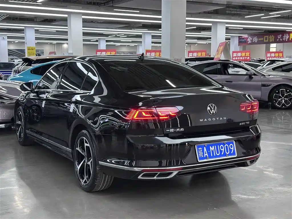 Volkswagen Magotan 2024 2 Million Units Public Sharing Edition 330TSI DSG Luxury фото 11