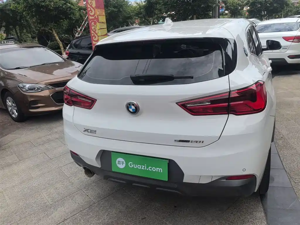 BMW X2 (Import) 2019 sDrive20i M Off-Road Package China VI фото 6