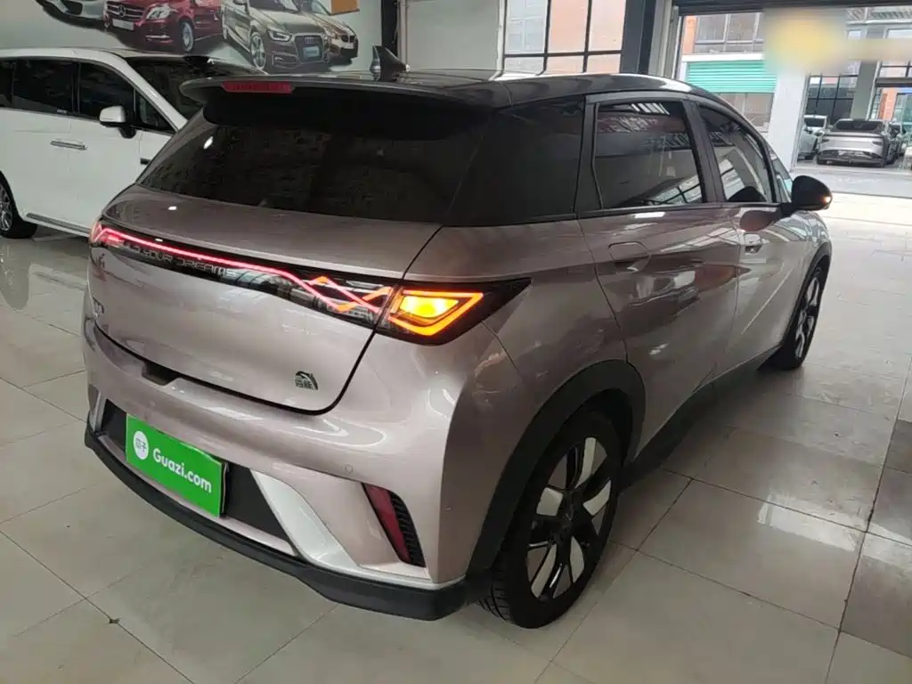 BYD Dolphin 2021 2021 401km Knight Edition