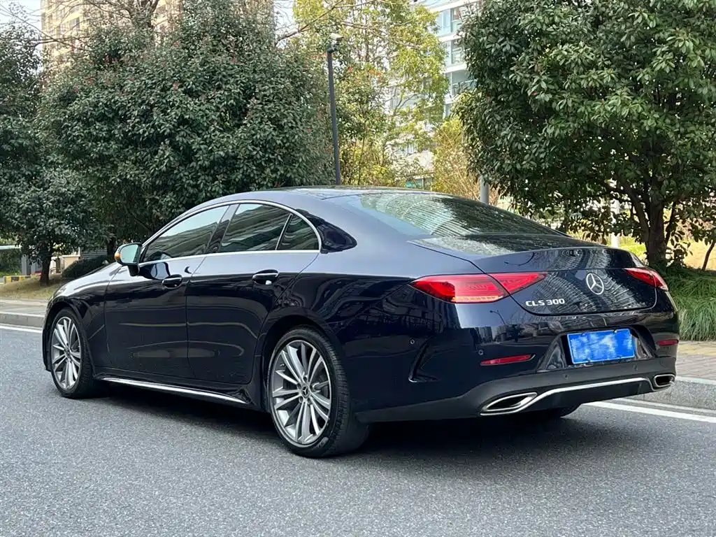 Mercedes-Benz CLS 2020 CLS 300 Dynamic фото 3