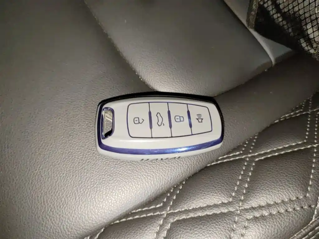 Haval H6 2020 2.0GDIT Automatic Platinum Champion Edition фото 9