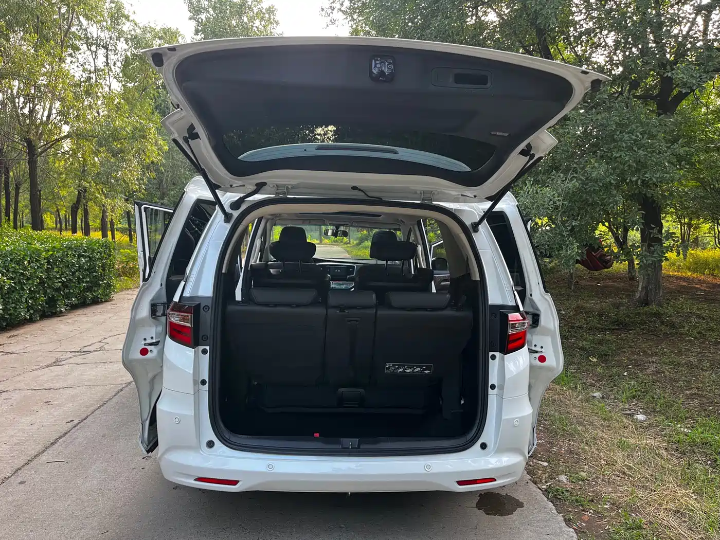 HONDA ODYSSEY