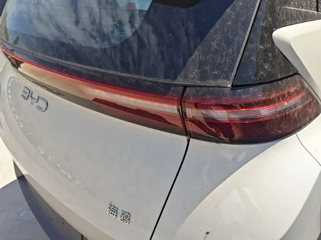 BYD Seagull 2026 2025 Smart Drive Edition 305km Vitality Version