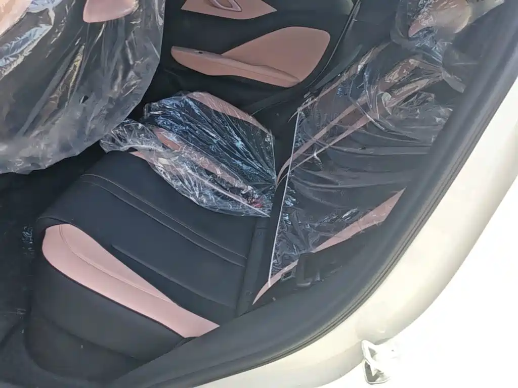 BYD Seagull 2026 2025 Smart Drive Edition 305km Vitality Version
