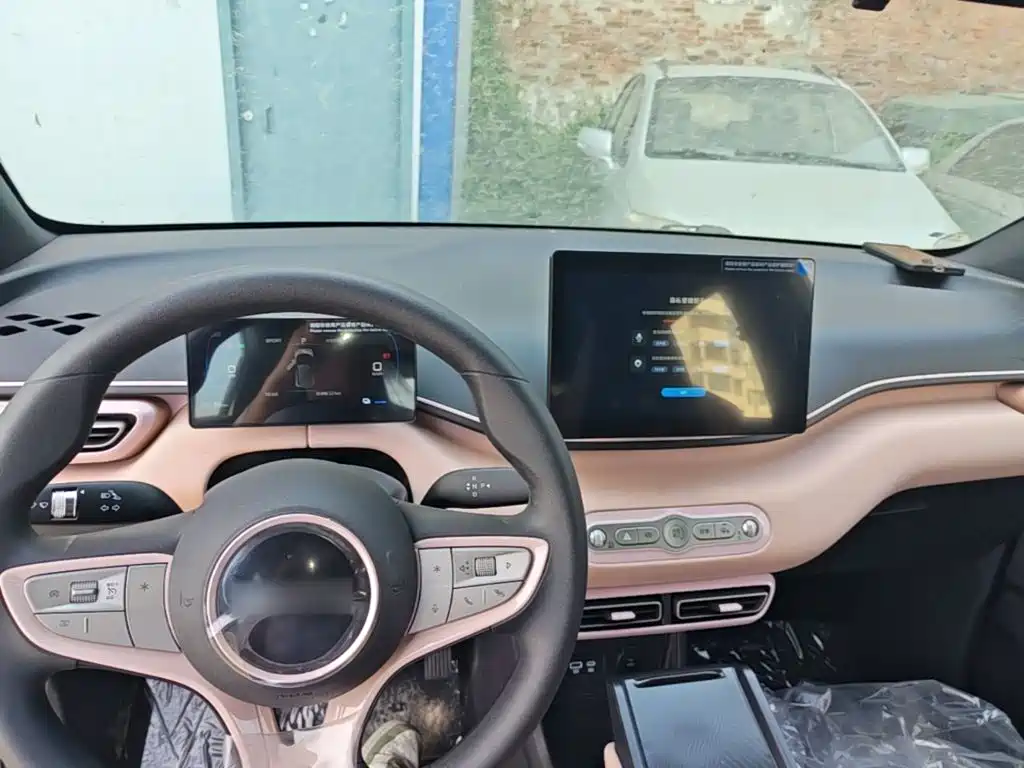 BYD Seagull 2026 2025 Smart Drive Edition 305km Vitality Version