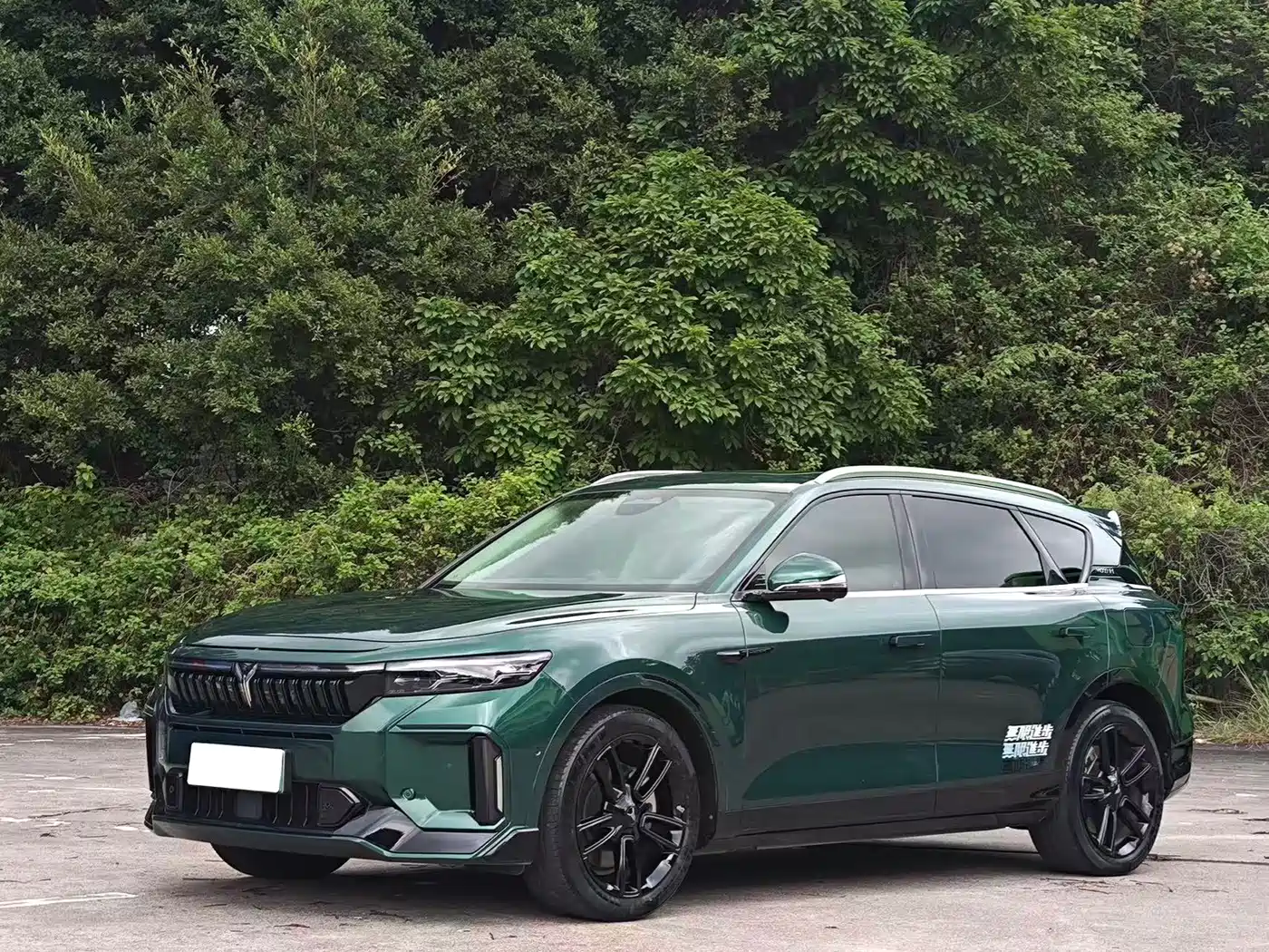 Voyah Auto VOYAH FREE 2024 Ultra Long Range Intelligent Driving Edition
