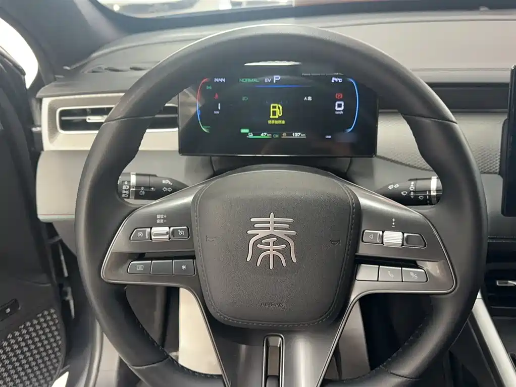 BYD Qin PLUS 2025 DM-i Smart Drive 55KM Leader фото 2