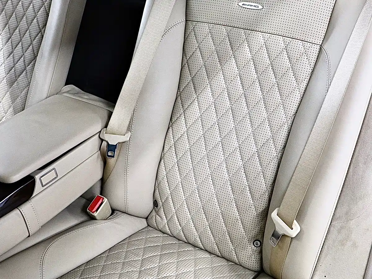 Mercedes-Benz S-Class AMG 2010 AMG S 65 фото 14