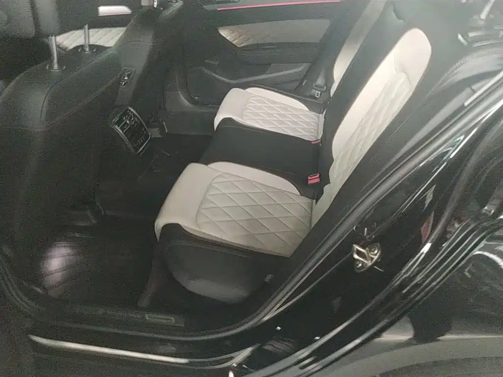 Volkswagen Magotan 2024 2 Million Units Public Sharing Edition 330TSI DSG Luxury фото 17