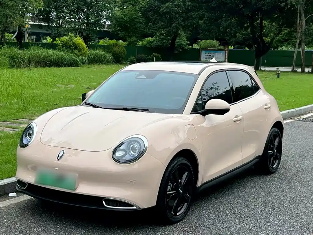 Ora Good Cat 2025 2024 401km Luxury