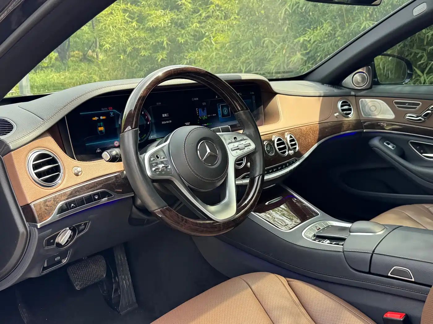 Mercedes-Benz S-Class 2020 S 350 L Business Edition Collector's Version фото 7