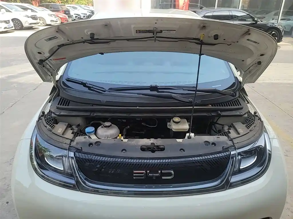 BYD Dolphin 2024 Glory Edition 420km Freedom Edition фото 16