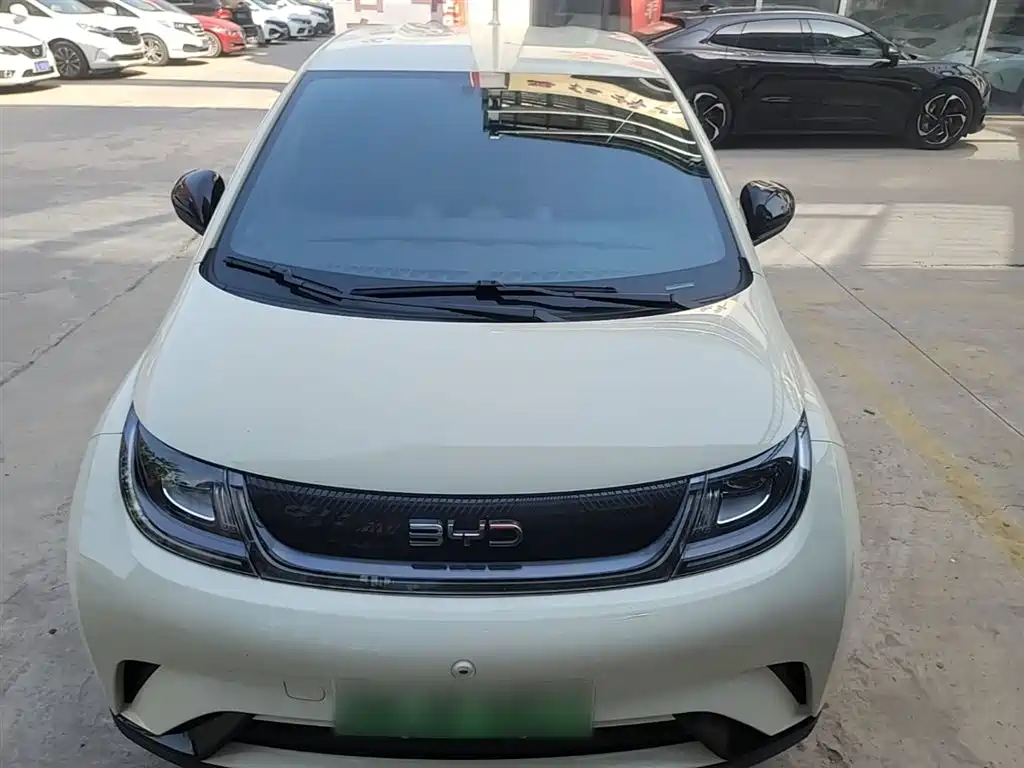 BYD Dolphin 2024 Glory Edition 420km Freedom Edition фото 3