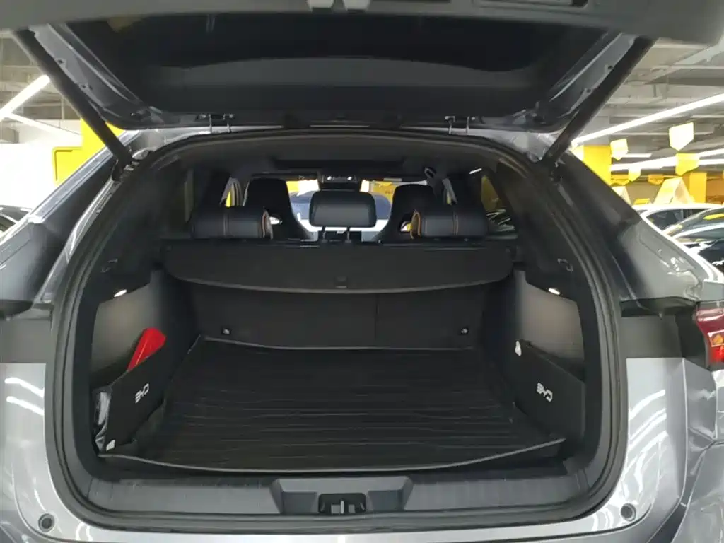 BYD Song PLUS PHEV 2023 Champion Edition DM-i 110KM Flagship PLUS фото 19
