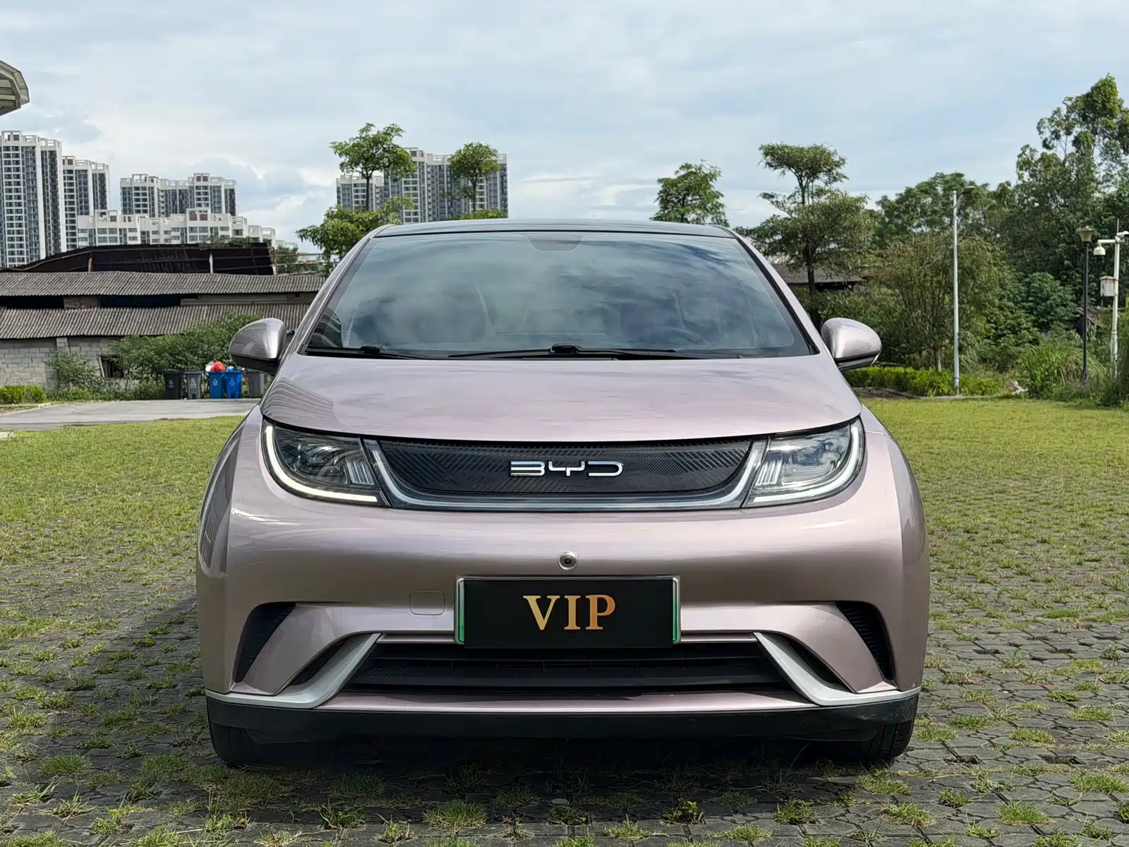 Фото 2 - BYD Dolphin