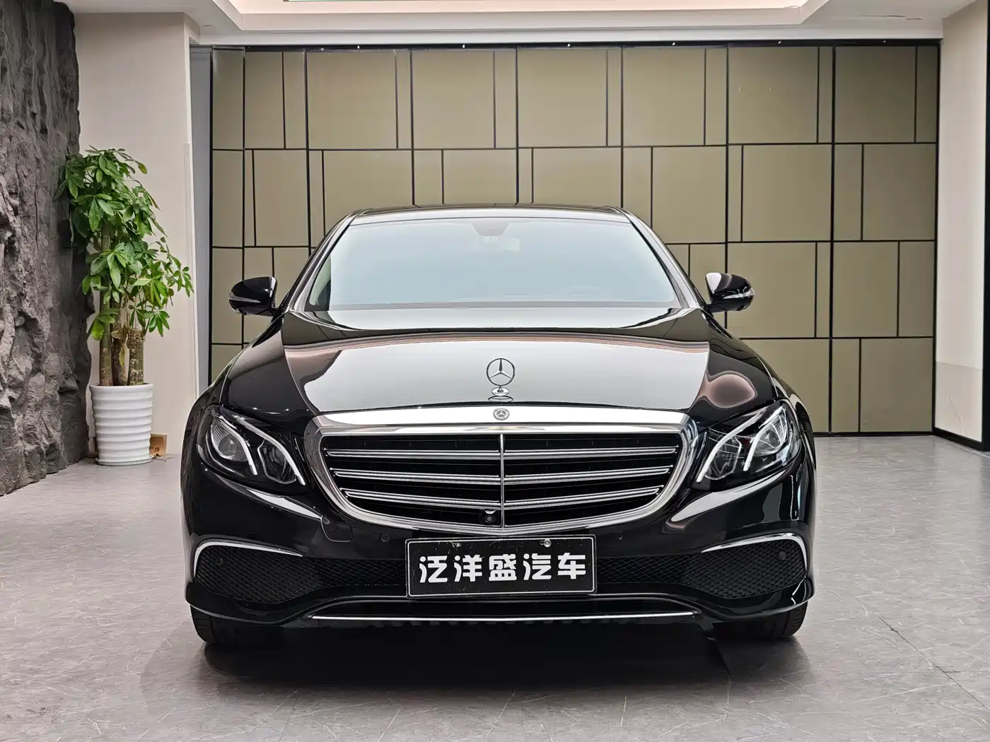 Mercedes-Benz E-Class 2019 Facelift E 300 L Luxury фото 2