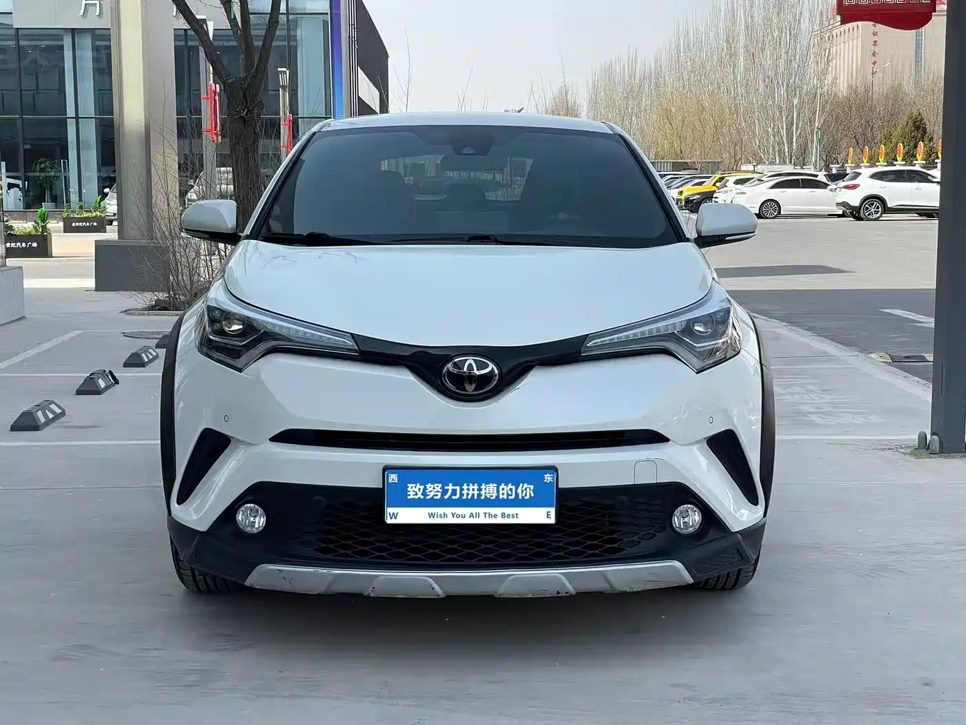 Toyota C-HR 2018 2.0L Cool Cross Luxury Edition China V фото 2