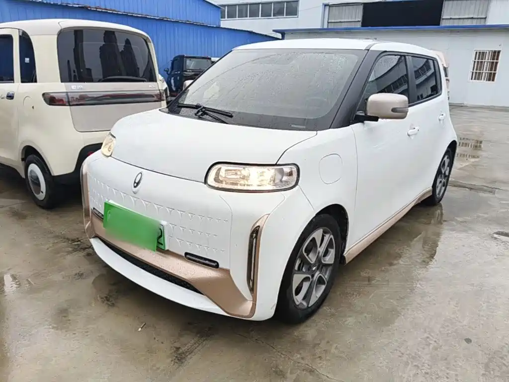 Ora White Cat 2021 2022 Wildcat Edition 360km Luxury (NMC)