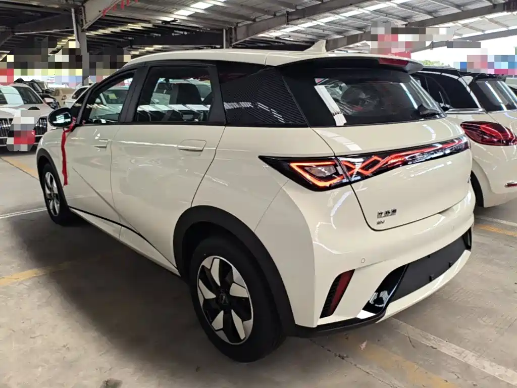 BYD Dolphin 2026 2025 420km Freedom Edition