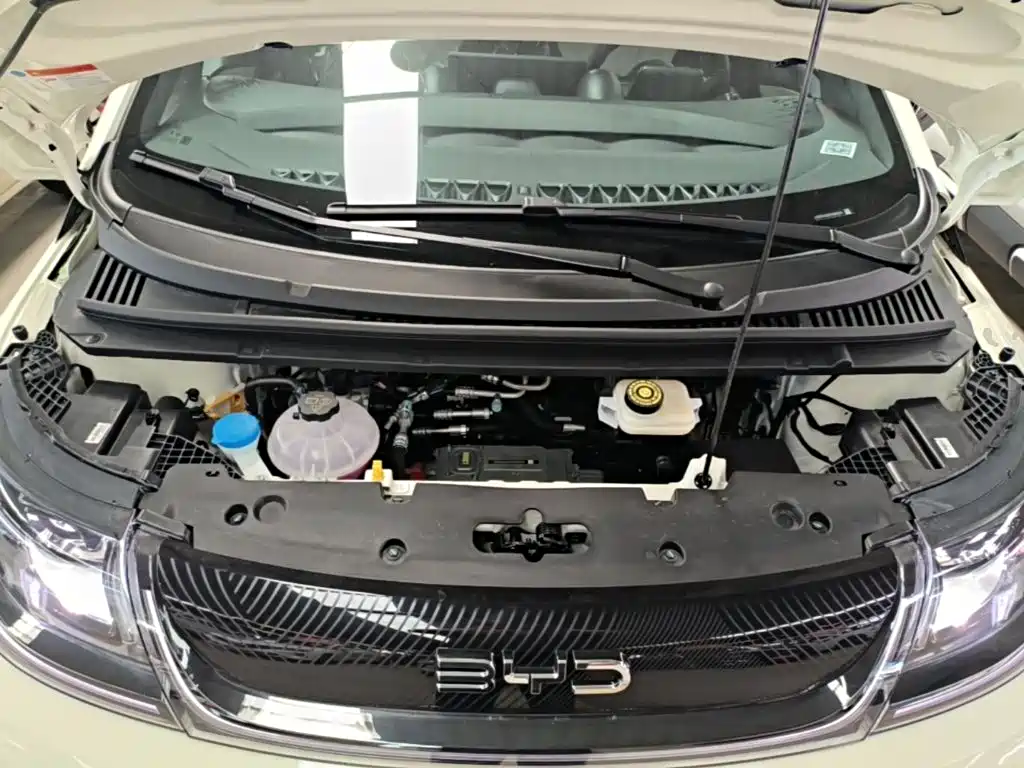 BYD Dolphin 2026 2025 420km Freedom Edition