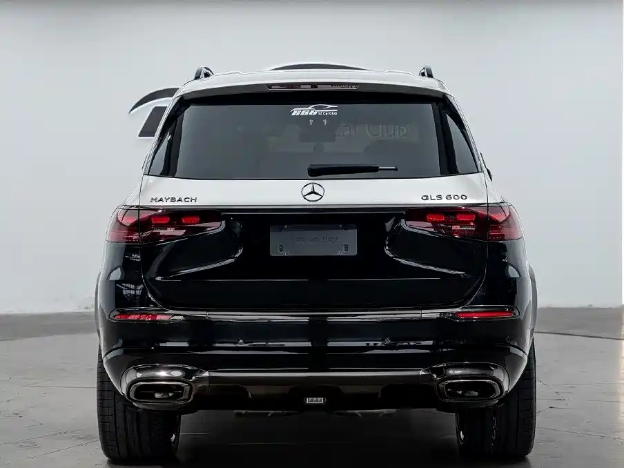 Mercedes-Benz Maybach GLS 2021 GLS 600 4MATIC Ritual Edition фото 11