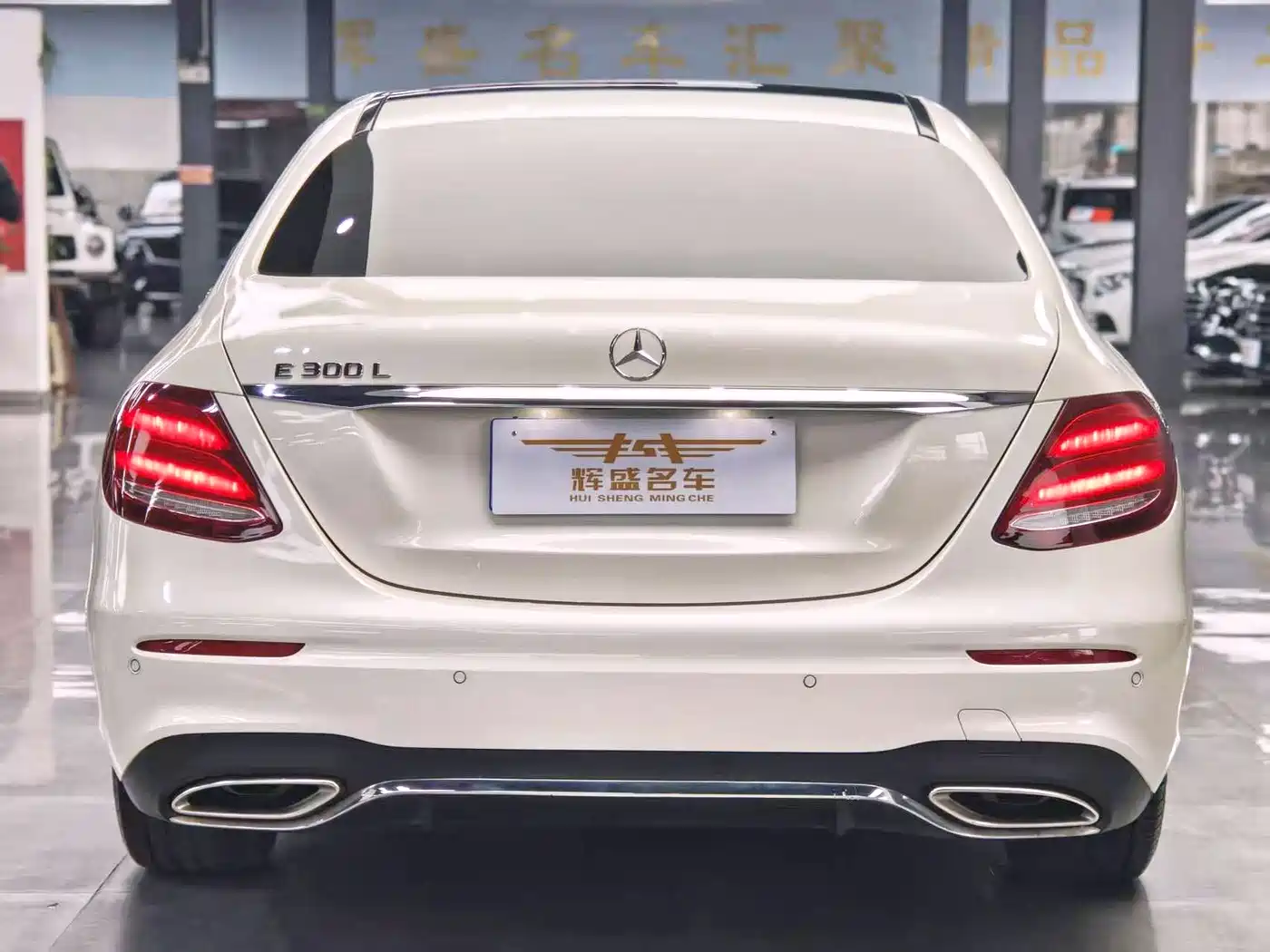 Mercedes-Benz E-Class 2020 E 300 L Sport Luxury Model фото 14