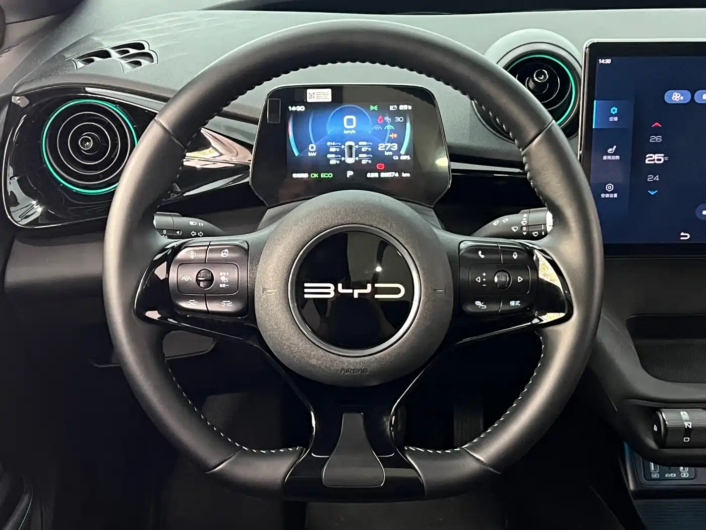 BYD Dolphin 2023 401km Knight Edition фото 16