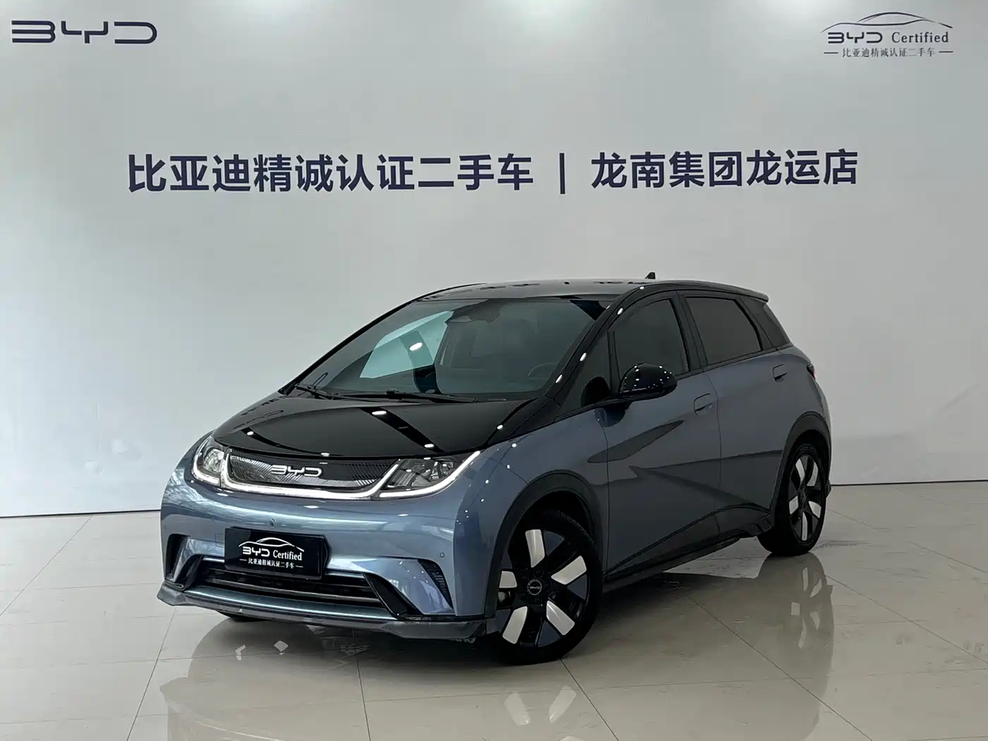 BYD Dolphin 2023 401km Knight Edition