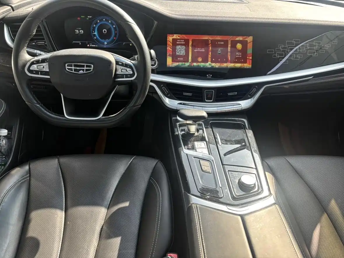 Фото 8 - Geely Borui