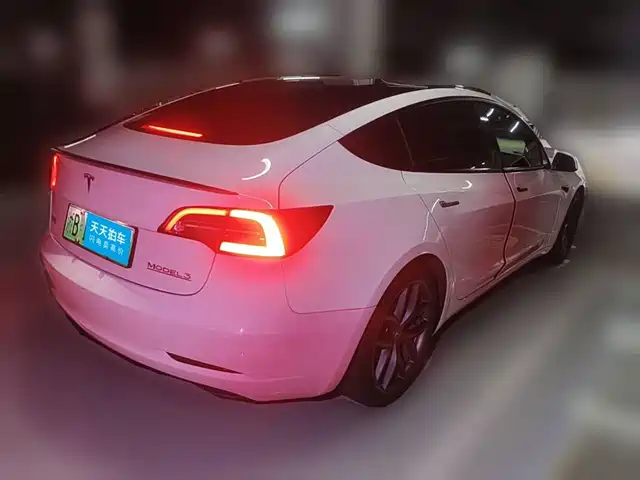 Tesla Model 3 2022 Performance High-Performance AWD — фото 5