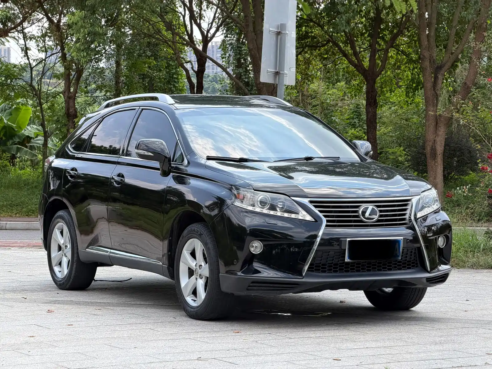 Photo 3 - Lexus RX Classic