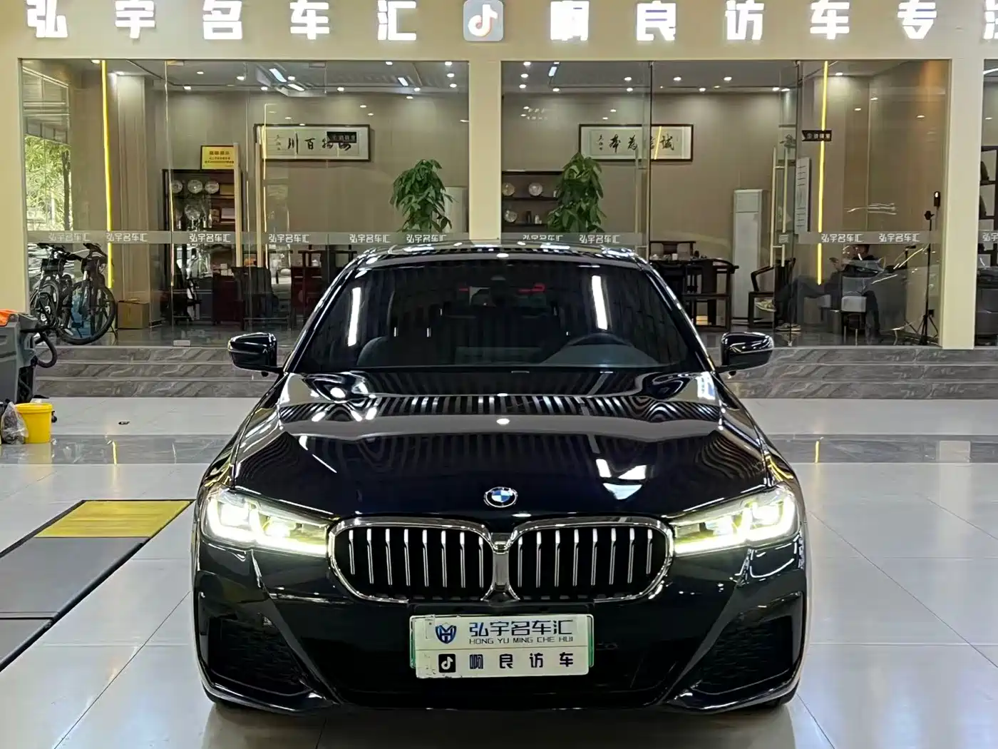 BMW 5 SERIES NEW ENERGY