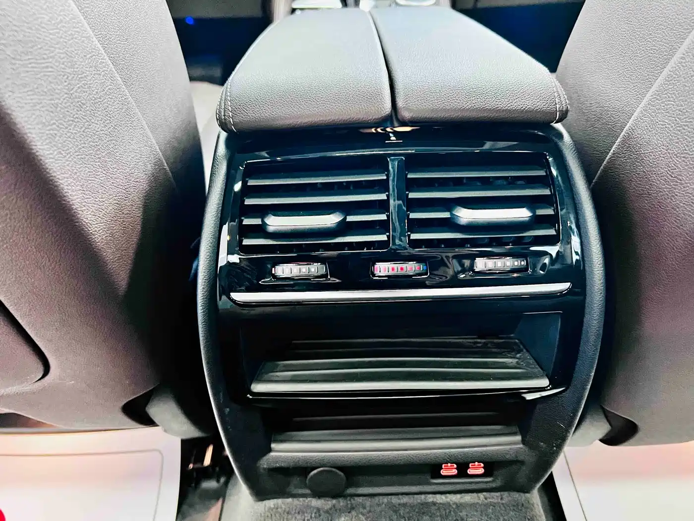 BMW 5 Series 2022 530Li Leading Luxury Package фото 19