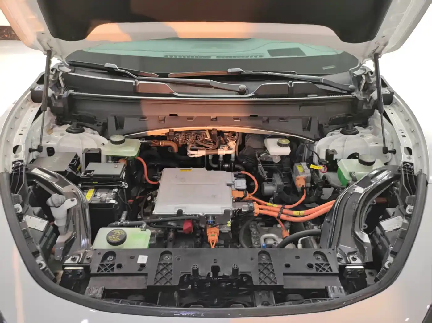 ARCFOX EXTREME FOX POLAR FOX ALPHA T