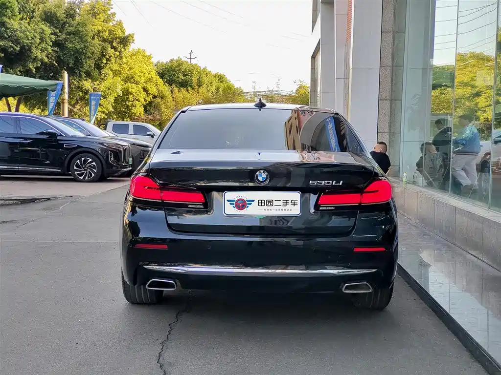 BMW 5 Series 2021 530Li Leading Luxury Package фото 5