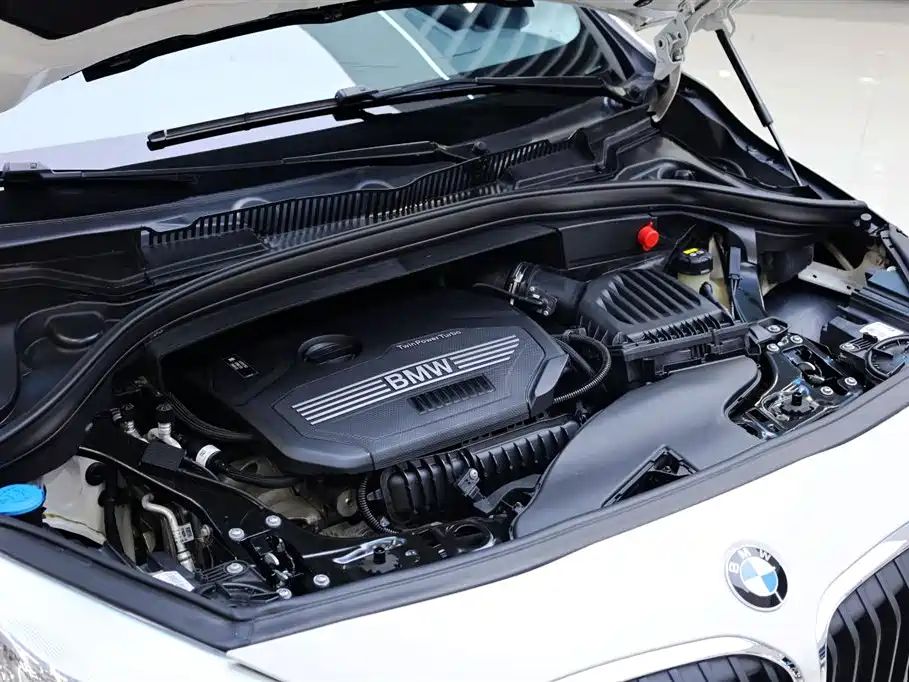 BMW 2 Series Gran Tourer 2019 220i Leading фото 35