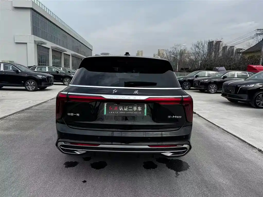 Hongqi HONGQI E HS9