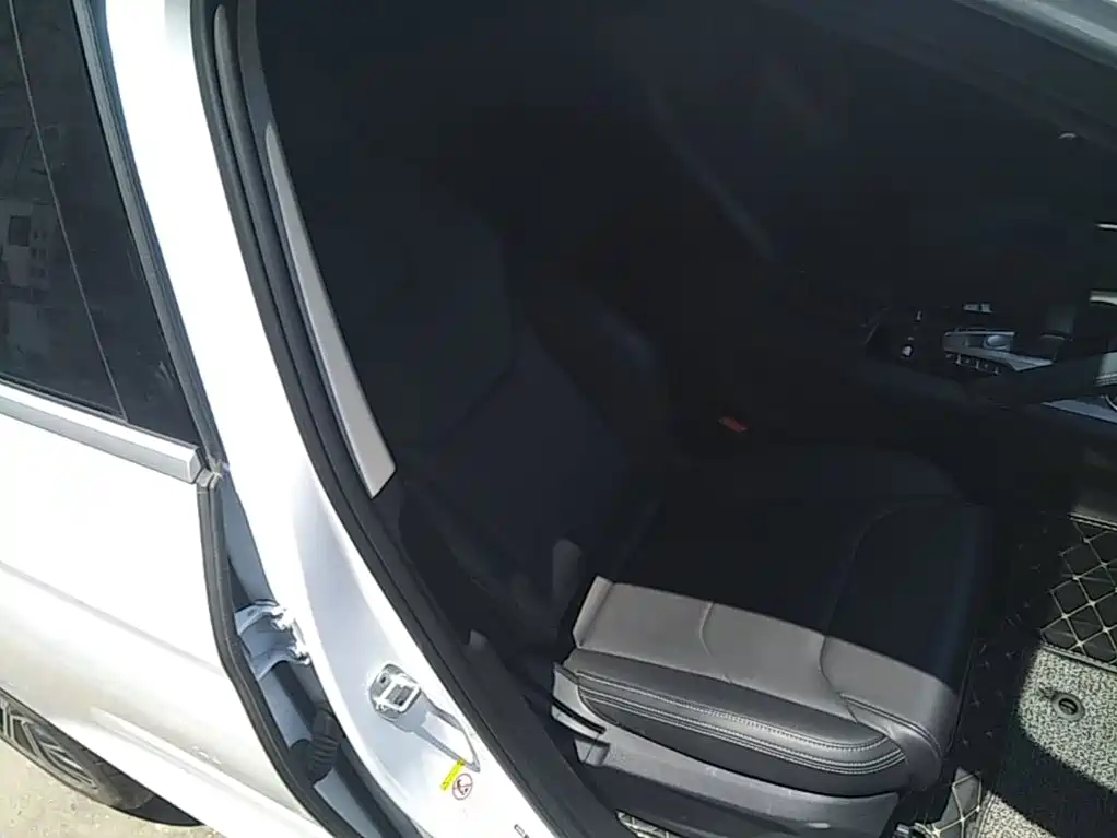 BYD Song Pro New Energy 2020 2019 EV High Power Luxury Model