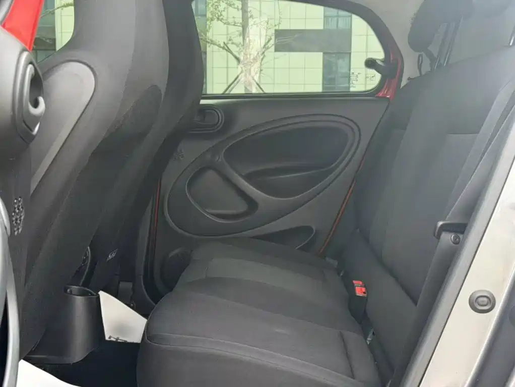 Фото 10 - smart forfour
