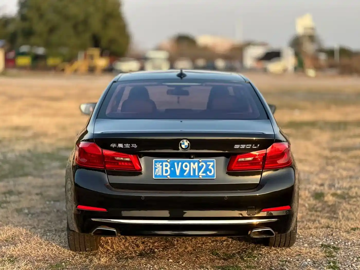 BMW 5 Series 2018 Facelift 530Li Leading Luxury Package фото 13