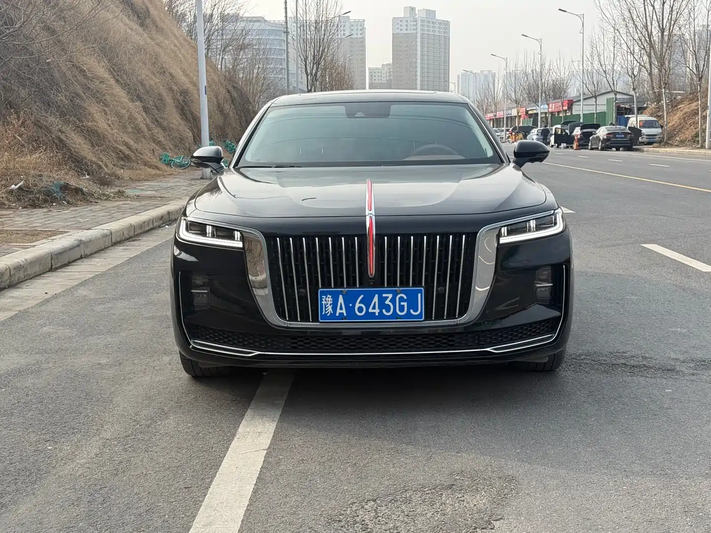 Hongqi HONGQI H9