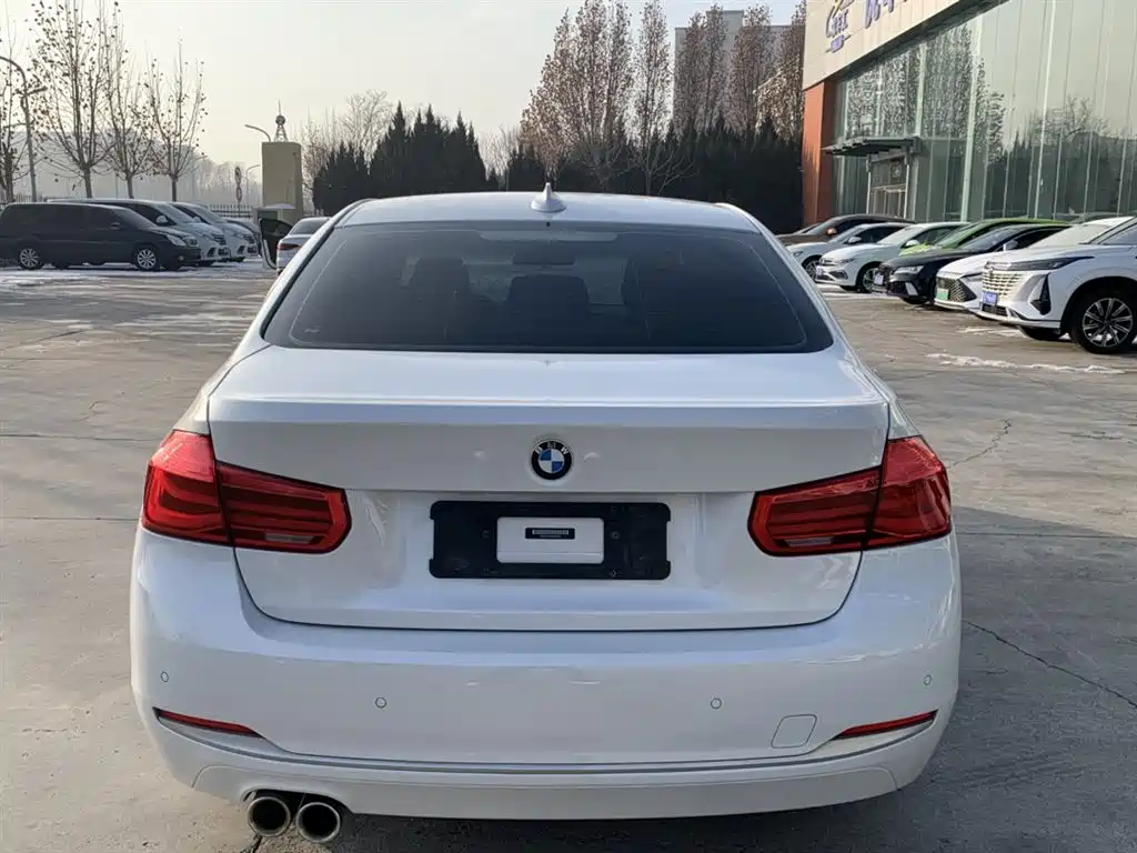 BMW 3 Series 2019 320Li Fashion Type фото 5