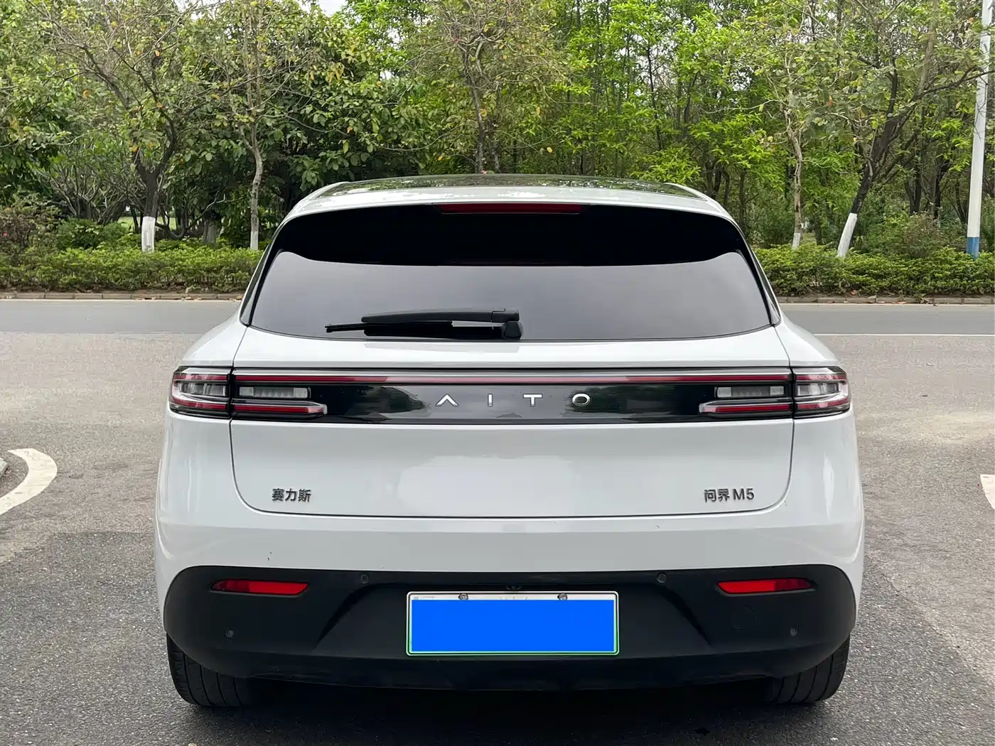 AITO Wenjie AITO M5 2022 Extended Range AWD Performance Edition фото 7