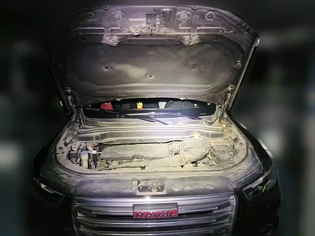 Фото 3 - Haval H6