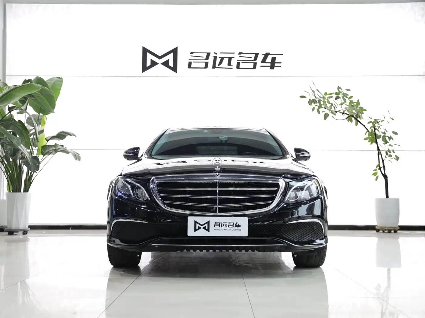 Mercedes-Benz E-Class 2019 E 300 L Luxury фото 2
