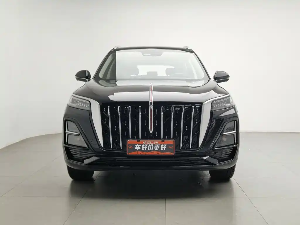 Hongqi HS5 2025 2025 2.0T 2WD Qixiang Pro