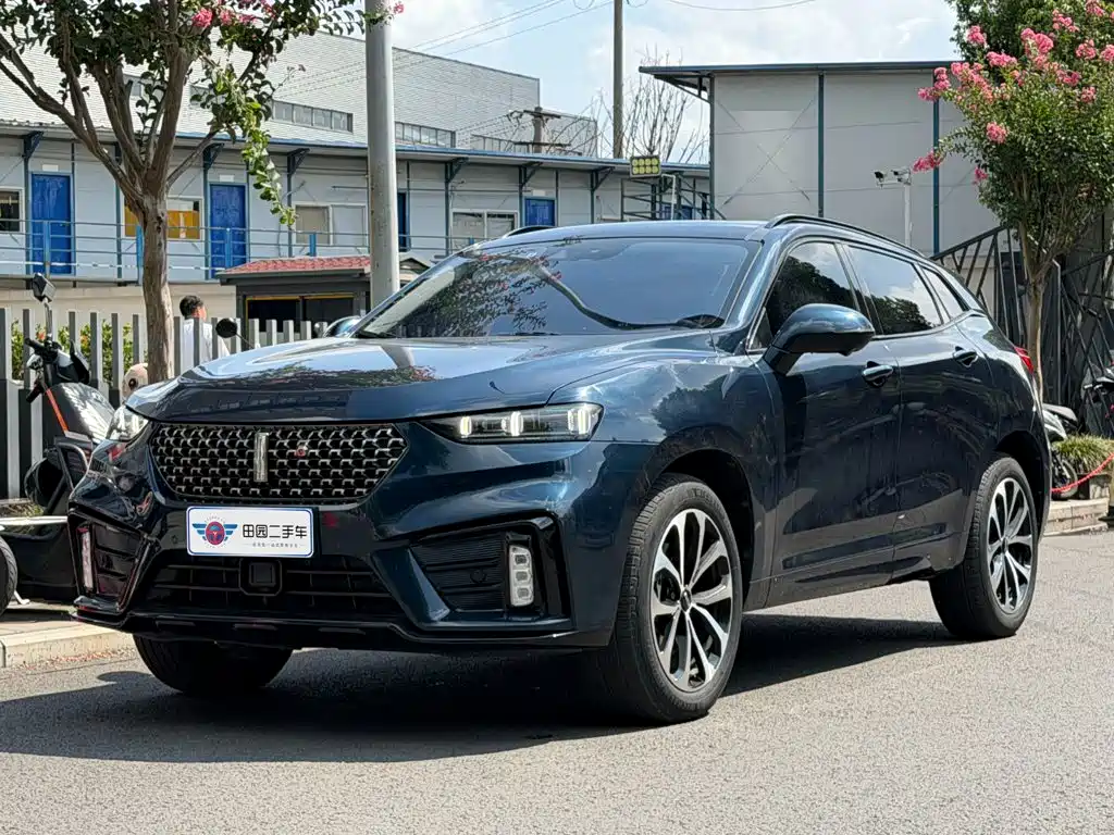 2021 WEY VV7