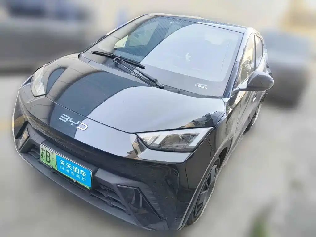 BYD Seagull 2025 305km Vitality