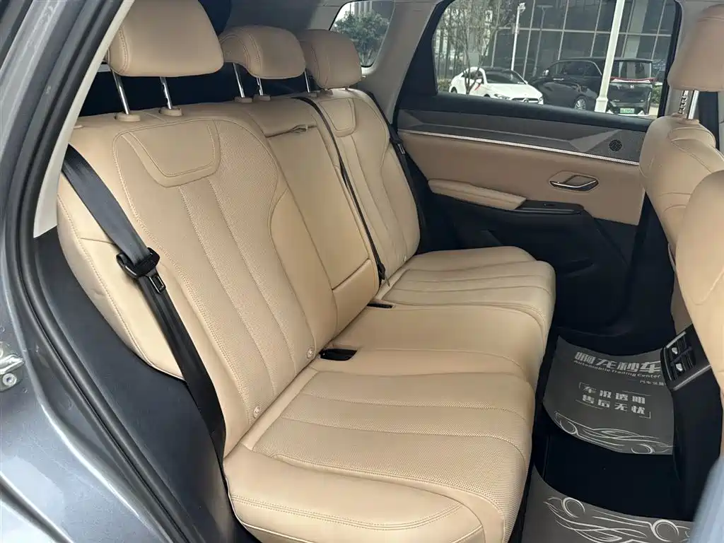 BYD SONGJIANG NEW ENERGY